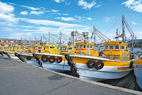 龍野・花田・三木 発
紀州地魚料理民宿松林で食す!幻の高級魚 天然本クエコース!3